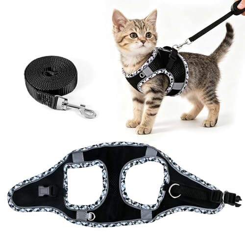 Escape Proof Cat Harness Set for Kittens