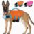 IECOii Reflective Dog Lifejacket for Large Dogs