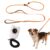 Reflective Dog Training Lead for Puppies