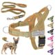 Eyein No Pull Dog Harness for Medium and Large Dogs