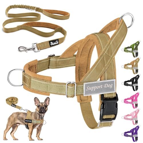 Eyein No Pull Dog Harness for Medium and Large Dogs