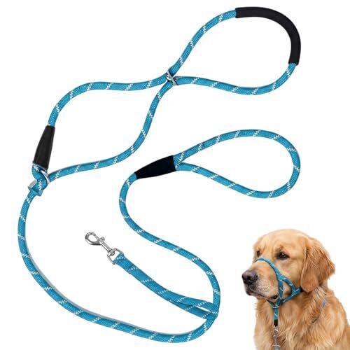 Figure of 8 Dog Training Lead for Large Dogs