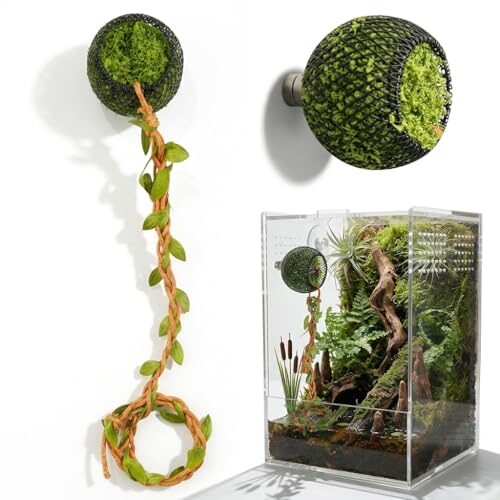 Ball Shaped Gecko Climbing Vine Hide