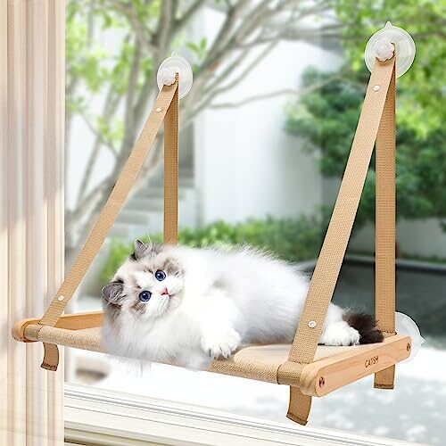 Catism Wooden Cat Hammock for Windows