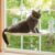 Cat Window Hammock with Suction Cups