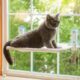 Cat Window Hammock with Suction Cups
