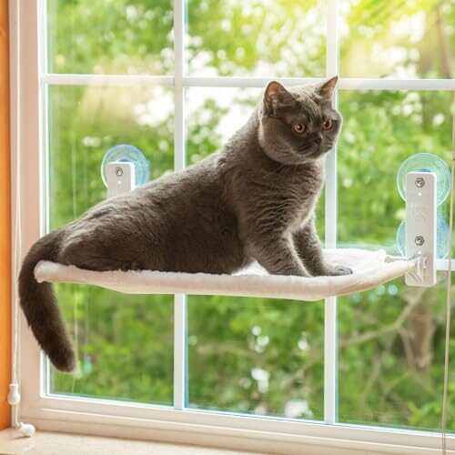 Cat Window Hammock with Suction Cups