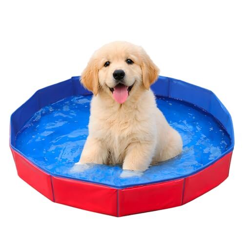 Red Foldable Dog Pool for Small Dogs