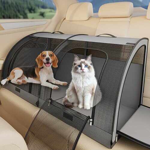 Large Foldable Cat Carrier for Two Cats