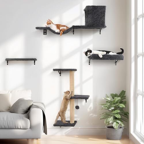 Fukumaru Wooden 4-in-1 Cat Shelf Set