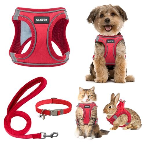 Gamuda No Pull Dog Harness Set with Collar and Lead