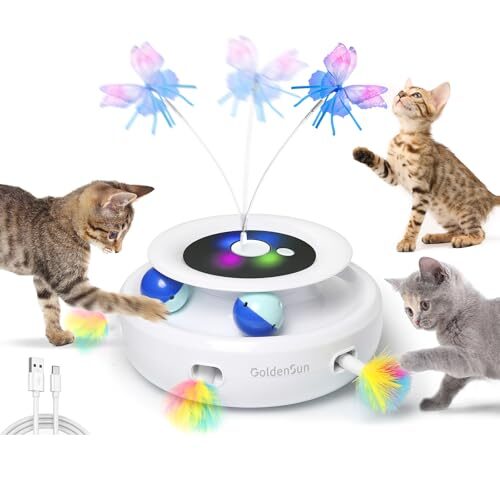 GoldenSun Interactive Cat Toy for Indoor Cats