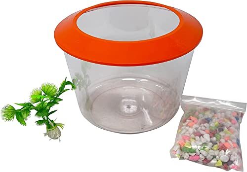 Zvire Starter Set Goldfish Bowl With Plant And Gravel