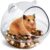 TieLishor Transparent Sand Bath Box for Hamsters