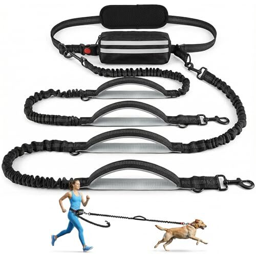 Reflective Dog Lead for Medium and Large Dogs