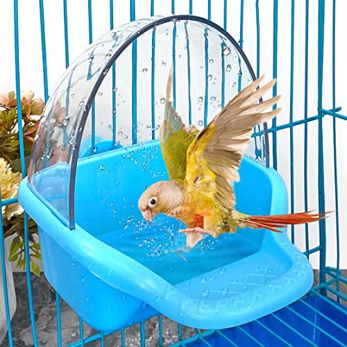 Cage-Mounted Bird Bath for Small Birds