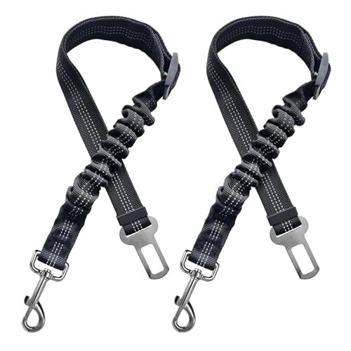 Adjustable Dog Lead with Bungee for Cars