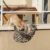 Steel-Reinforced Cat Safety Net for Balconies