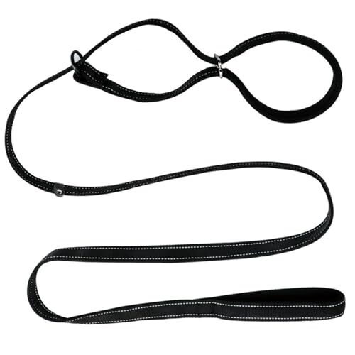 Adjustable Dog Lead for Medium and Large Dogs