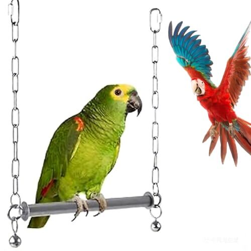 Stainless Steel Bird Swing for Large Parrots