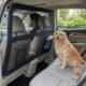 Hocomay Heavy Duty Dog Safety Gate for Cars