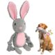 Dog Plush Toy with Rope Squeaker for Puppies