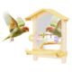 Acrylic Mirror Bird Perch for Parrots