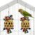 Foraging Bird Toy 2 Pack for Parrots