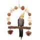 Foraging Bird Swing With Cuttlebone And Corn Husks