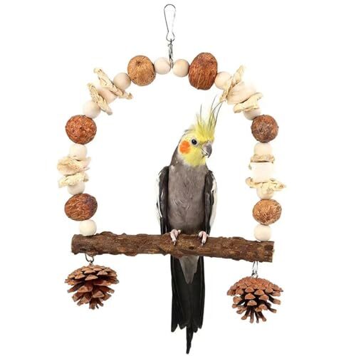 Foraging Bird Swing With Cuttlebone And Corn Husks