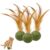Interactive Catnip Toy for Cats 3 Pack