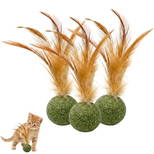 Interactive Catnip Toy for Cats 3 Pack