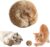 Interactive Catnip Toy for Indoor Cats
