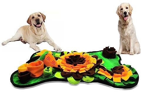Wyotky Interactive Mat Toy for Small Animals