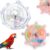 Spinning Wheel Bird Toy for Budgies
