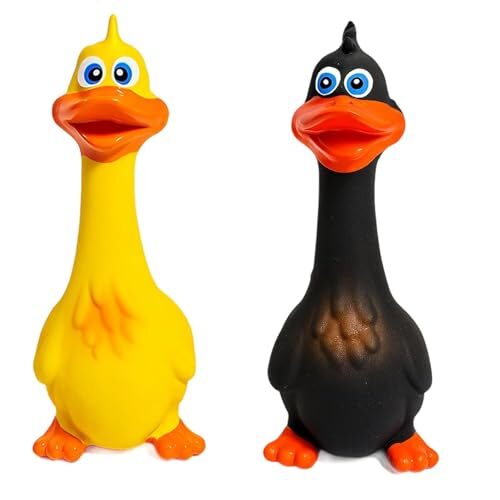 Dog Squeak Toy Set for Puppies Pack of 2