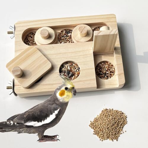 FlidRunest Wooden Bird Foraging Puzzle Toy
