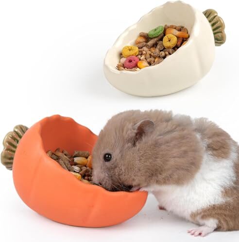 Kelivi Ceramic Hamster Bowl For Small Animals