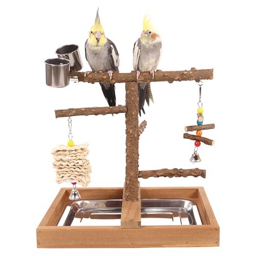 Kivinia Wooden Parrot Playstand With Feeder Tray