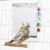 Large Bird Mirror Toy With Perch Stand
