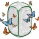 Large Butterfly Habitat Cage for Kids