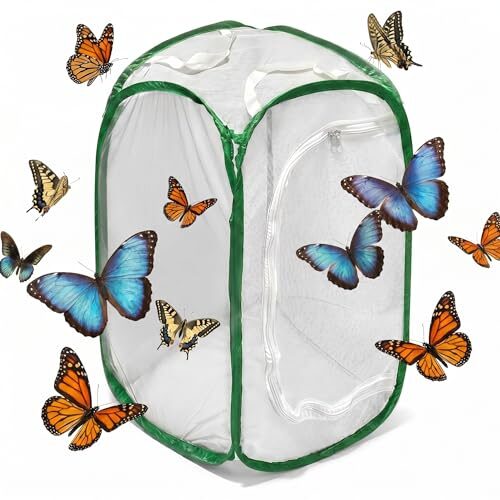 Large Butterfly Habitat Cage for Kids