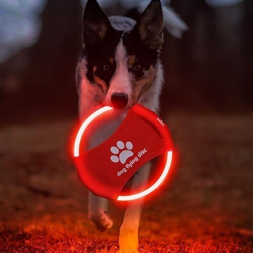 DoggKKin Dog Frisbee for Small and Medium Dogs
