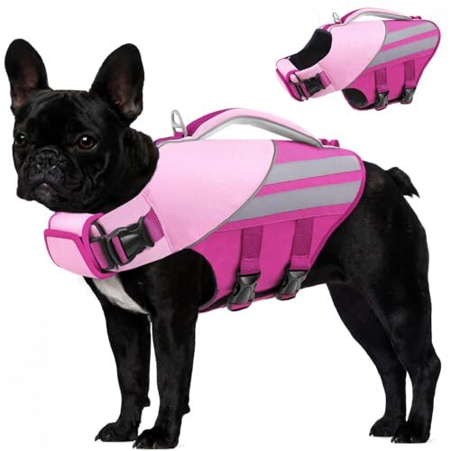 Queenmore Reflective Dog Lifejacket
