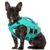 Konvinit Reflective Dog Lifejacket for Small Dogs