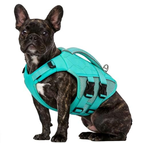 Konvinit Reflective Dog Lifejacket for Small Dogs
