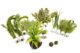 Lincspplant Live Aquarium Plants Small (60l – 120l)