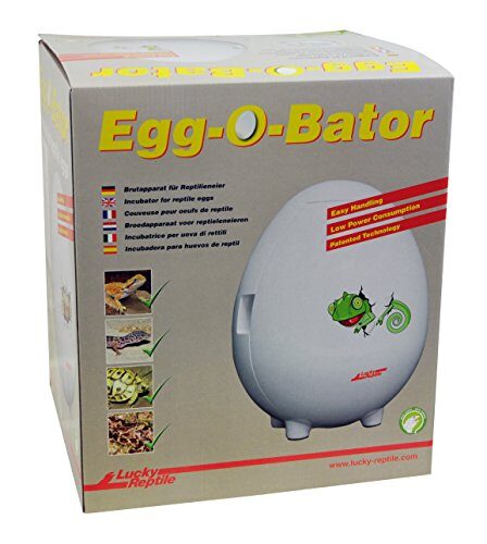 Temperature-Controlled Egg Incubator for Reptiles