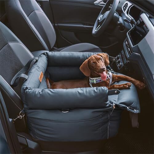 Funnyfuzzy Leather Dog Carrier for Small and Medium Dogs