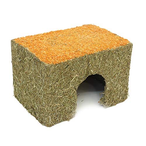 Rosewood Naturals Edible Carrot Cottage for Small Animals